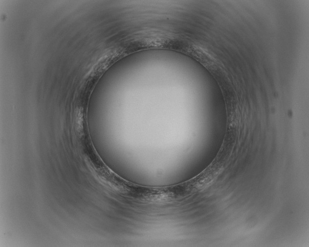 X0000074020646200609111650