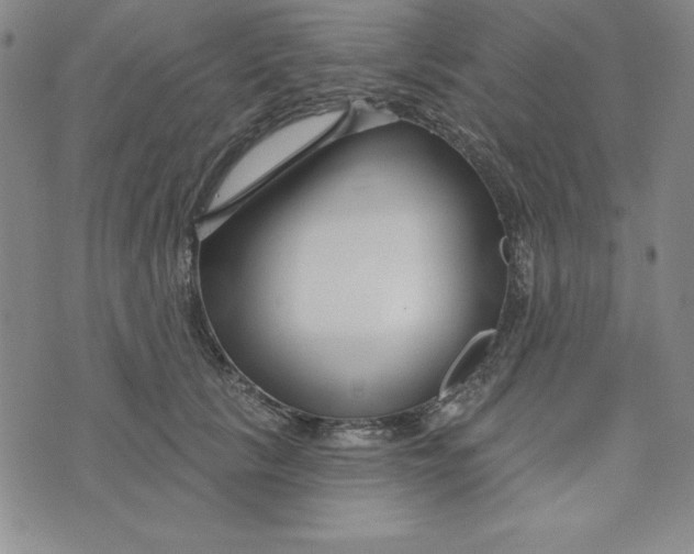 X0000074020657200609111650