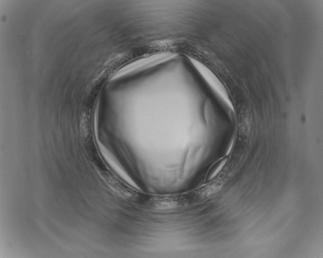 X0000074020658200609111650