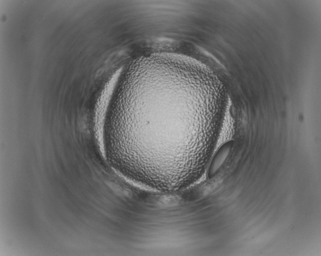 X0000074020663200609111650