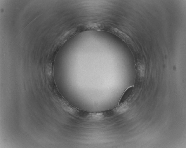 X0000074020665200609111650
