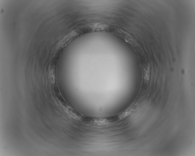 X0000074020666200609111650
