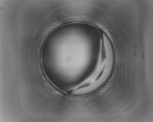 X0000074020673200609111649