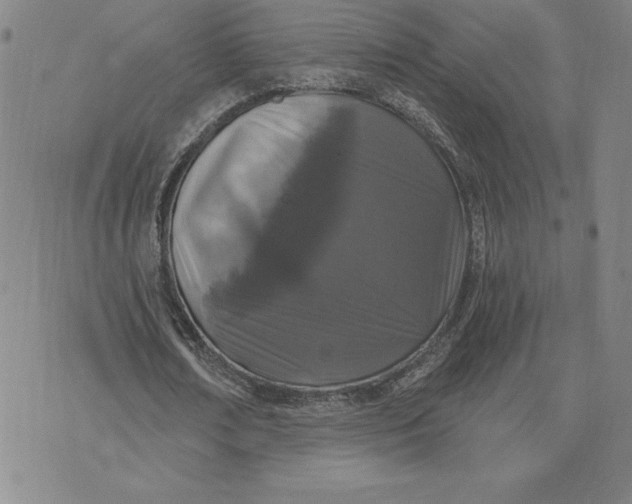 X0000074020674200609111649