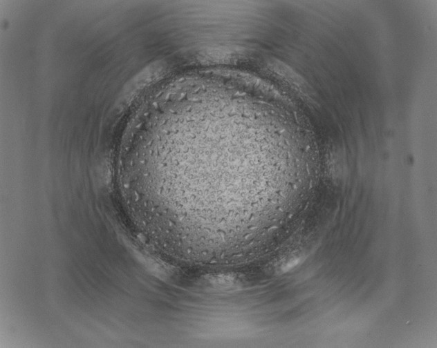 X0000074020687200609111649
