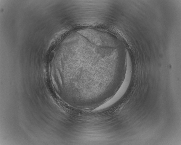 X0000074020688200609111649