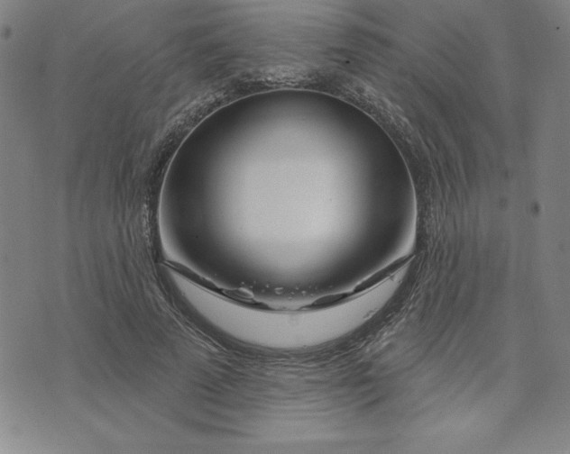 X0000074020689200609111649