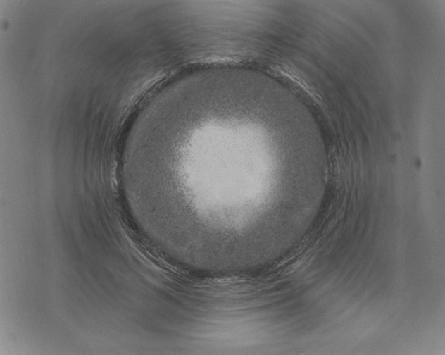 X0000074020692200609111649