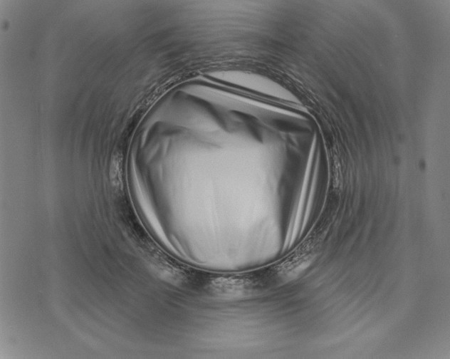 X0000074020699200609111649