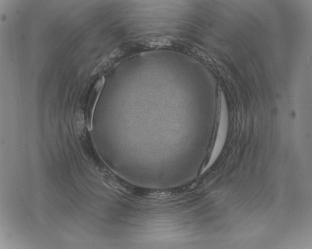 X0000074020704200609111649