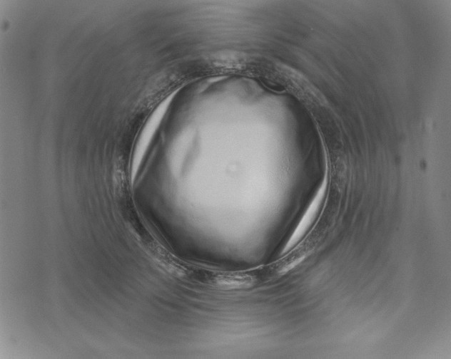 X0000074020707200609111649
