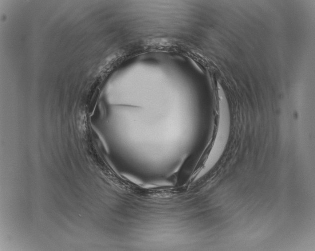 X0000074020708200609111649