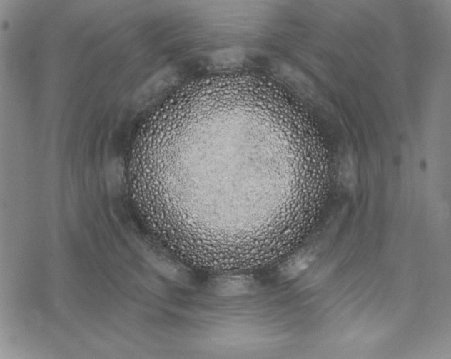 X0000074020711200609111649