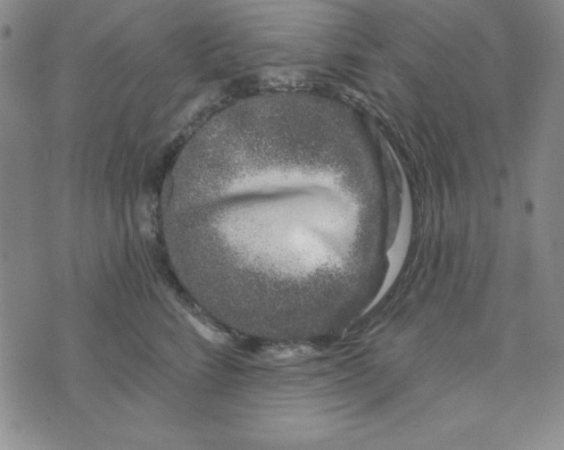 X0000074020712200609111649