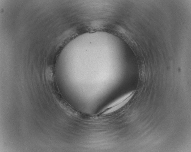 X0000074020715200609111649