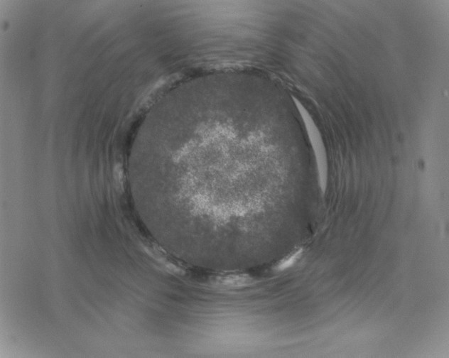 X0000074020716200609111649