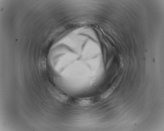 X0000074020718200609111649