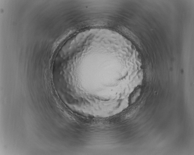 X0000074020721200609111648