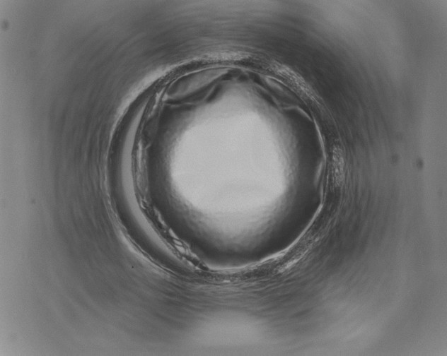 X0000074020726200609111648