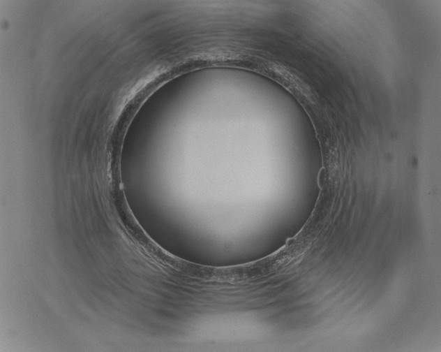 X0000074020727200609111648