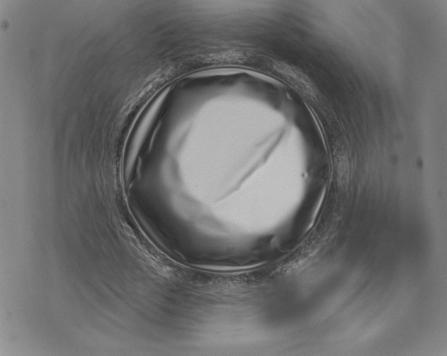 X0000074020729200609111648
