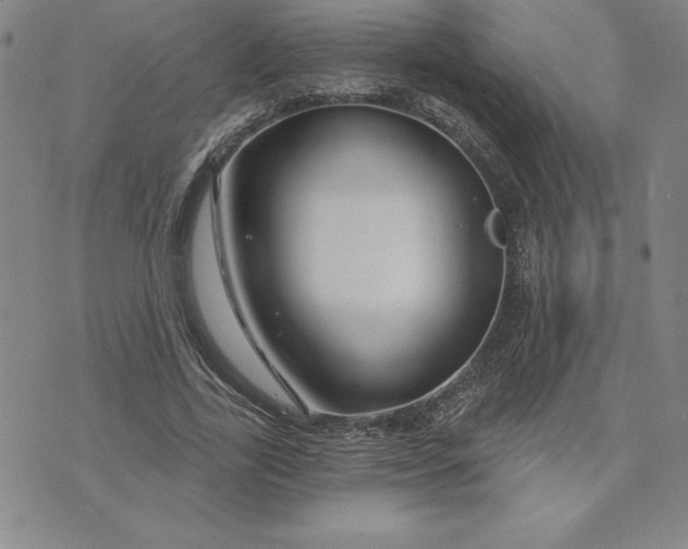 X0000074020731200609111648