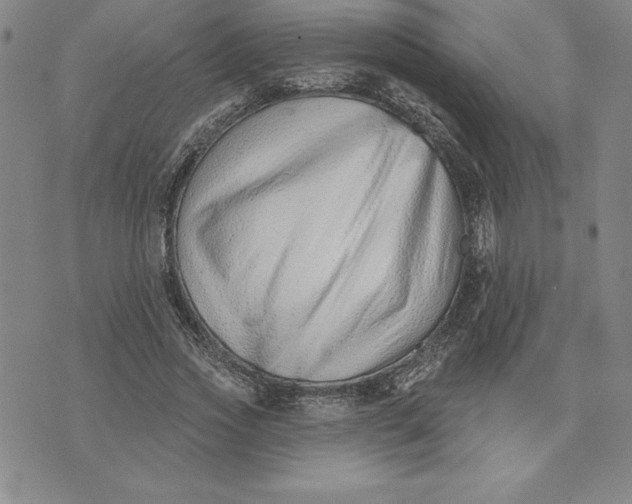 X0000074020733200609111648