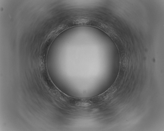 X0000074020743200609111648