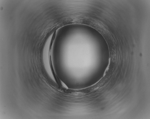 X0000074020748200609111648