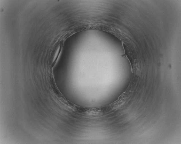 X0000074020756200609111648