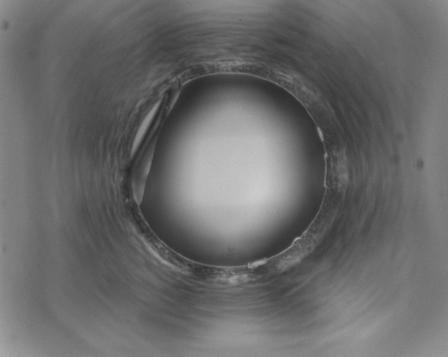 X0000074020760200609111648