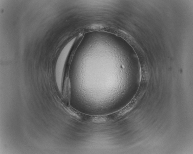 X0000074020762200609111648