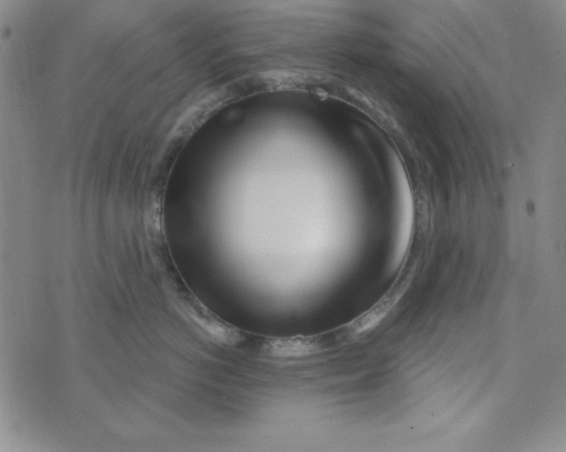 X0000074020766200609111648