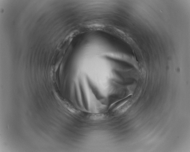 X0000074020767200609111648