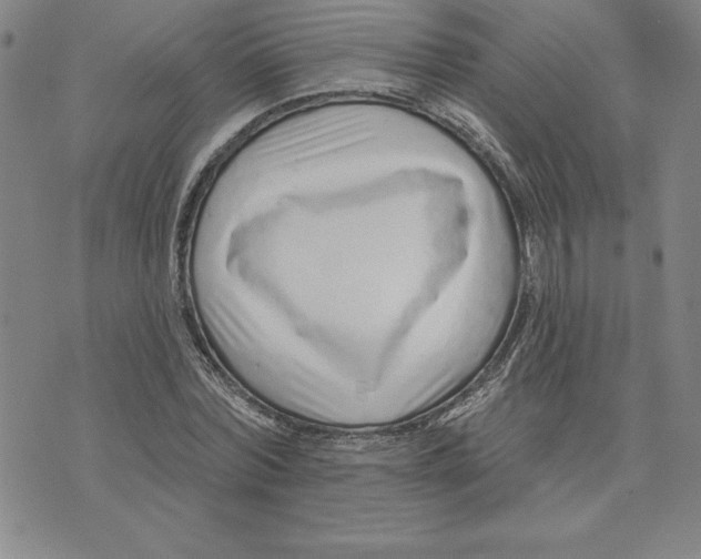 X0000074020780200609111648