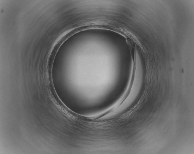 X0000074020784200609111647