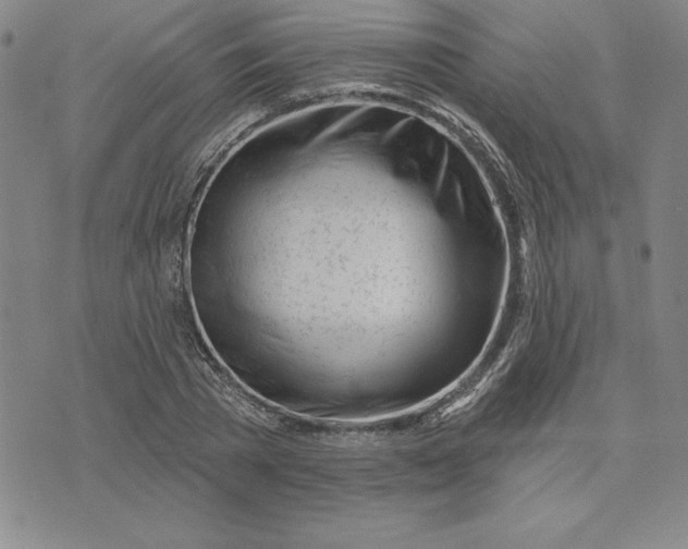 X0000074020785200609111647