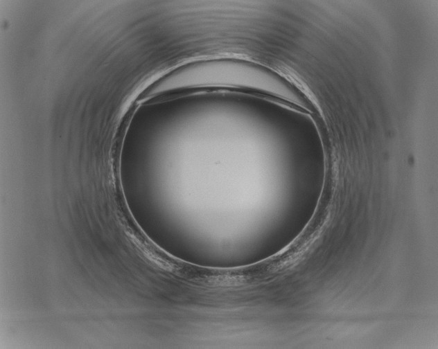 X0000074020789200609111647