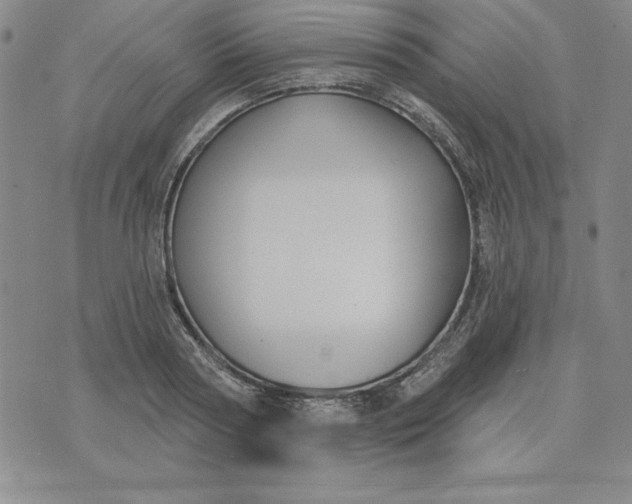 X0000074020794200609111647