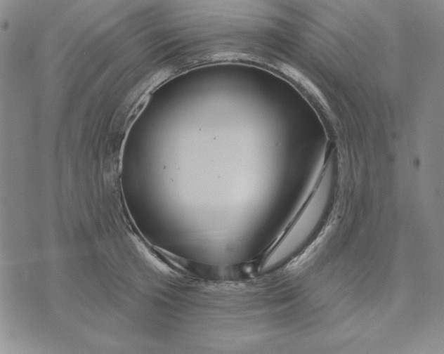 X0000074020801200609111647
