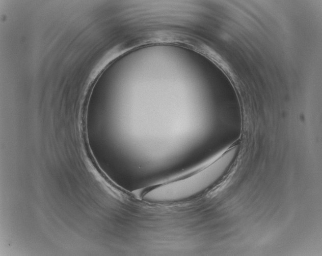 X0000074020803200609111647