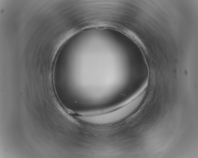 X0000074020805200609111647