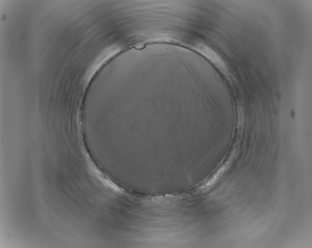X0000074020806200609111647
