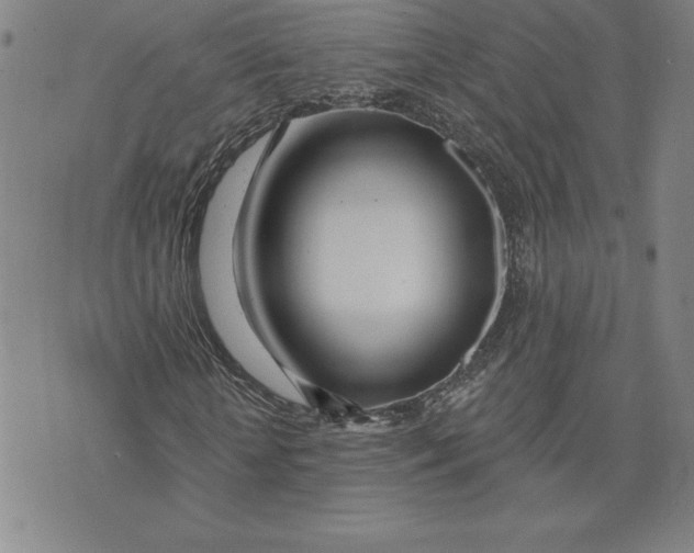 X0000074020818200609111646