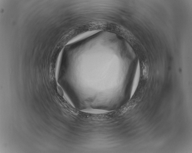 X0000074020819200609111646