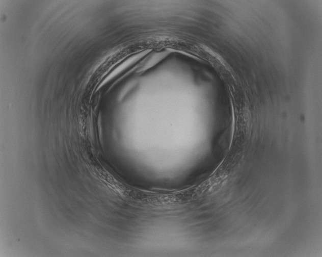 X0000074020823200609111646