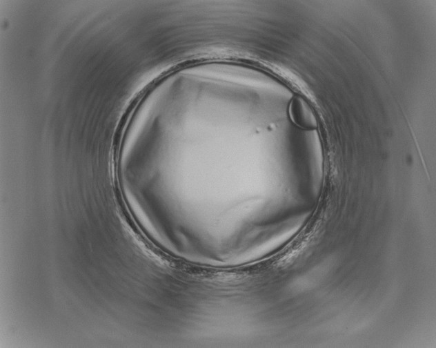 X0000074020839200609111647