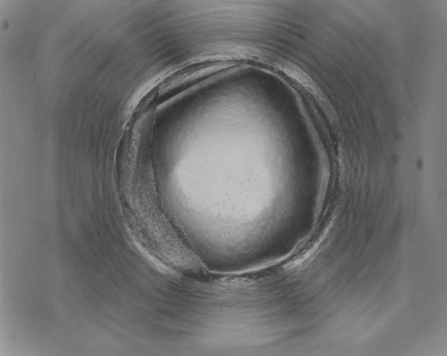X0000074020842200609111647