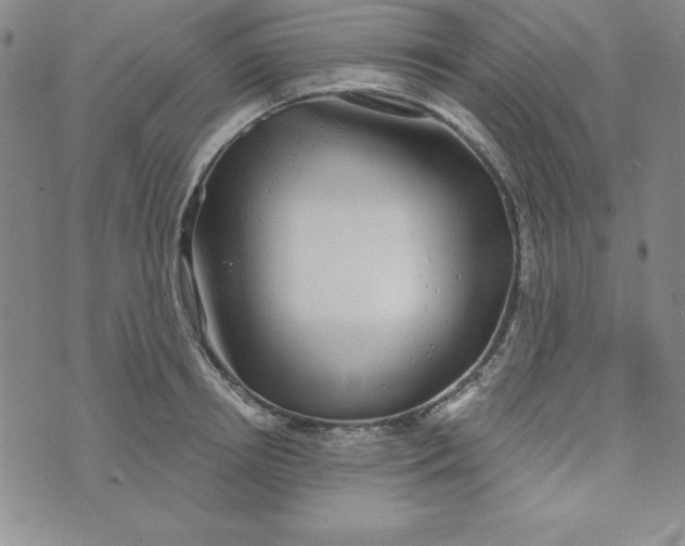 X0000074020850200609111647