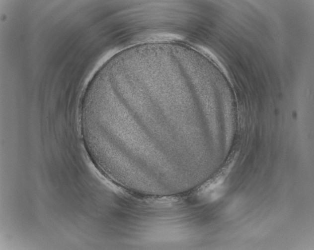 X0000074020851200609111647